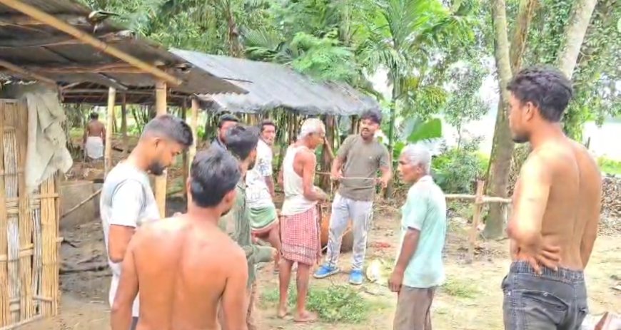 ধূপগুড়িতে দুই বাইসনের তাণ্ডব, আহত ৩ আতঙ্কে এলাকাবাসী