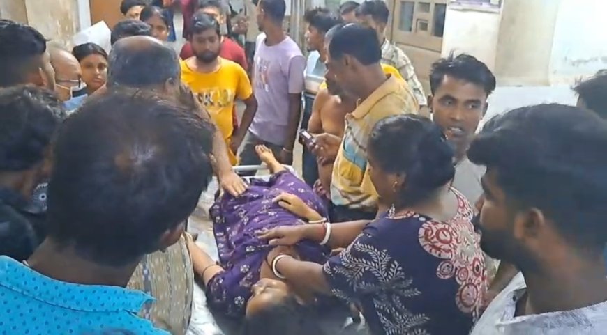 নাকাশিপাড়ায় জোড়া বজ্রপাতে মৃত্যু, প্রাণ গেল এক মহিলা-সহ দু'জনের