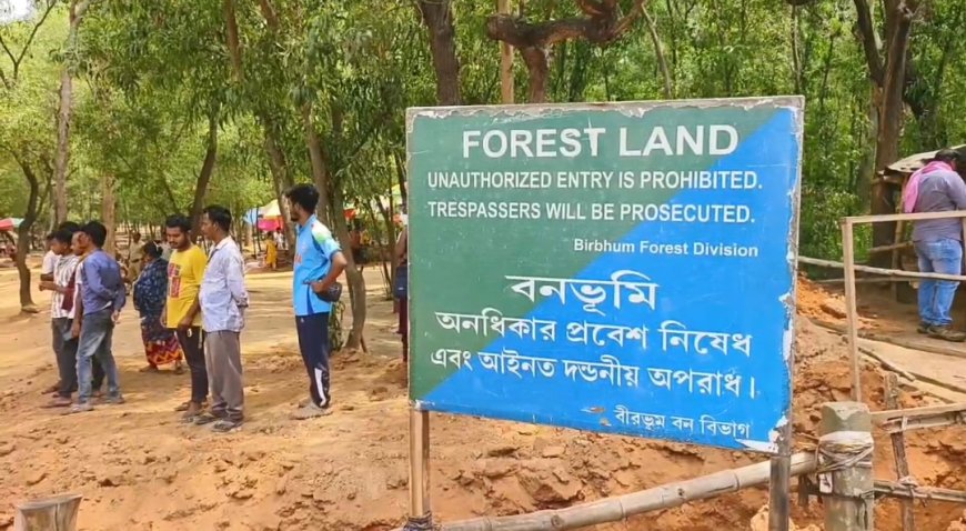 সোনাঝুরিতে চলল বুলডোজার, জঙ্গল বাঁচাতে কড়া পদক্ষেপ বন দফতরের