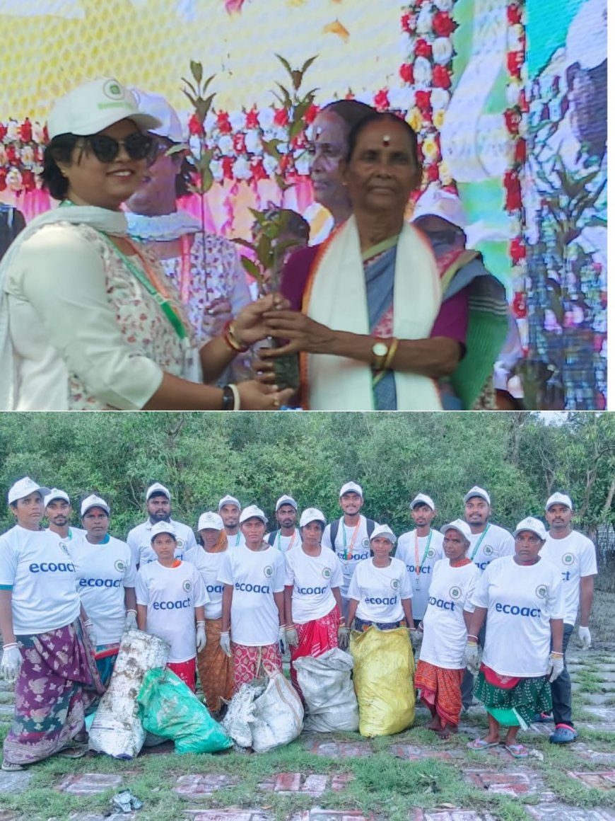 সুন্দরবনকে বাঁচাতে ১ হাজার হেক্টরের পর এবার আরও বড় লক্ষ্য নিয়ে ময়দানে 'মিনসো ইন্ডিয়া'