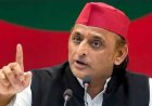 ‘দলে সাহসী লোক চাই, যাঁরা ঘাবড়ান, তাঁরাই পালান’, ভাঙনের তত্ত্ব উড়িয়ে দাবি অখিলেশের