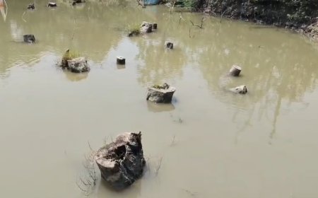 হিঙ্গলগঞ্জে তাপস মণ্ডলের গ্রেফতারের দাবিতে সরব এলাকাবাসী, নদী বাঁধ কাটার অভিযোগে গ্রেফতার শ্যালক
