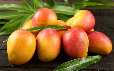 নেপালেও নিষিদ্ধ ভারতের আম