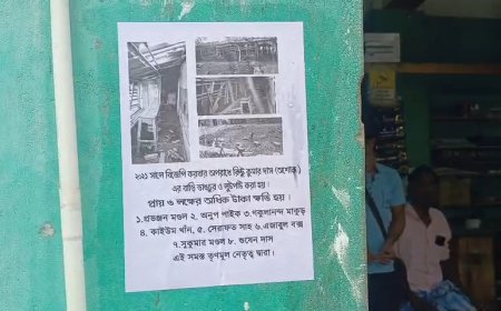 ভোট-পরবর্তী হিংসার কঙ্কাল মৌশুনীতে! তৃণমূল নেতাদের নামসহ পড়ল বিতর্কিত পোস্টার