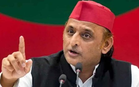 ‘দলে সাহসী লোক চাই, যাঁরা ঘাবড়ান, তাঁরাই পালান’, ভাঙনের তত্ত্ব উড়িয়ে দাবি অখিলেশের