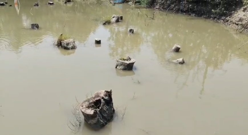 হিঙ্গলগঞ্জে তাপস মণ্ডলের গ্রেফতারের দাবিতে সরব এলাকাবাসী, নদী বাঁধ কাটার অভিযোগে গ্রেফতার শ্যালক