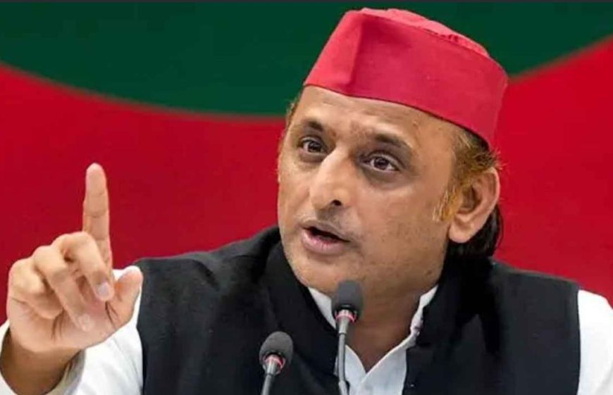 ‘দলে সাহসী লোক চাই, যাঁরা ঘাবড়ান, তাঁরাই পালান’, ভাঙনের তত্ত্ব উড়িয়ে দাবি অখিলেশের