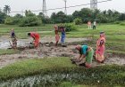 দীর্ঘ ৫ বছরের বঞ্চনার অবসান! নামখানায় ১০০ দিনের বদলে শুরু 'ভিবি জি রাম জি' প্রকল্পের ১২৫ দিনের কাজ