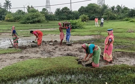 দীর্ঘ ৫ বছরের বঞ্চনার অবসান! নামখানায় ১০০ দিনের বদলে শুরু 'ভিবি জি রাম জি' প্রকল্পের ১২৫ দিনের কাজ