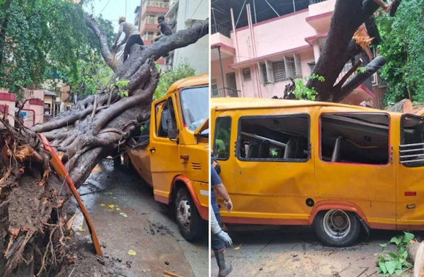 মুম্বইয়ে স্কুলের বাসের উপর ভেঙে পড়ল গাছ, মৃত ১ পড়ুয়া, গুরুতর আহত ৫