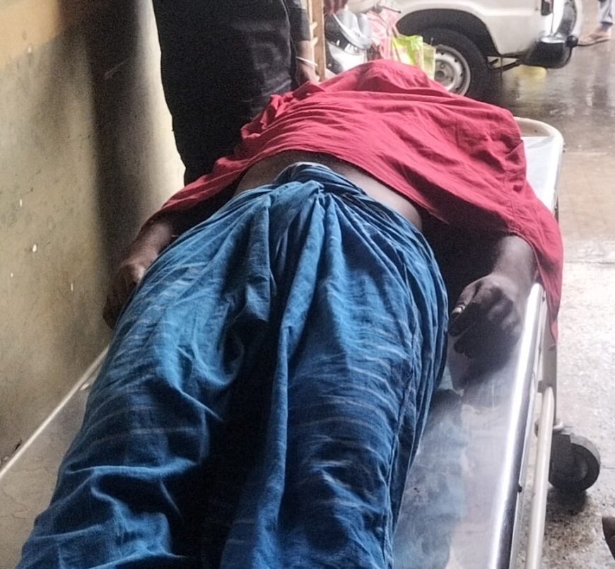 সাপের দংশনে মৃত্যু