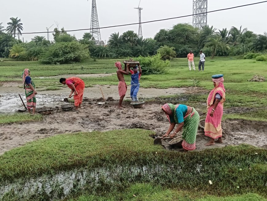 দীর্ঘ ৫ বছরের বঞ্চনার অবসান! নামখানায় ১০০ দিনের বদলে শুরু 'ভিবি জি রাম জি' প্রকল্পের ১২৫ দিনের কাজ