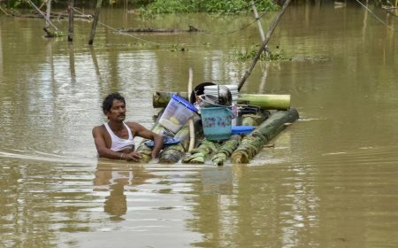 বিধ্বস্ত অসমের পাশে দাঁড়াল রিলায়েন্স, ২১ কোটির অনুদান নীতা আম্বানির