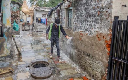 চান্দিপুরা ভাইরাসের কামড়ে ২২ শিশুর মৃত্যু গুজরাটে