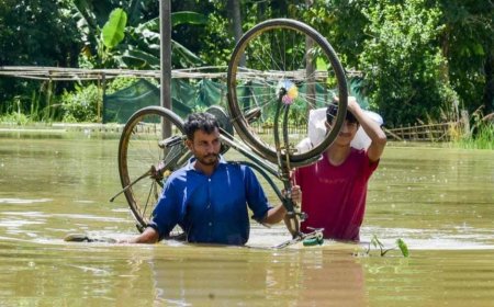 অসমের বন্যায় মৃতের সংখ্যা বেড়ে ৯৫