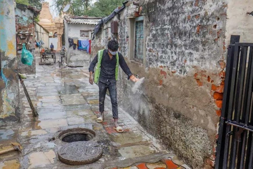 চান্দিপুরা ভাইরাসের কামড়ে ২২ শিশুর মৃত্যু গুজরাটে