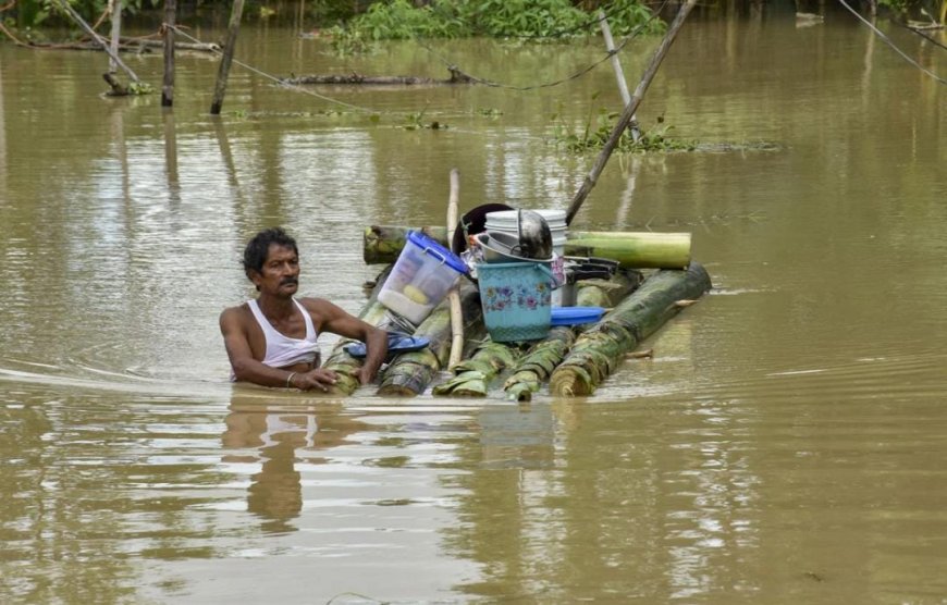 বিধ্বস্ত অসমের পাশে দাঁড়াল রিলায়েন্স, ২১ কোটির অনুদান নীতা আম্বানির