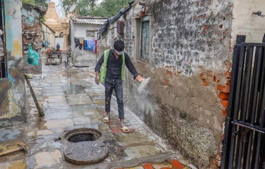 চান্দিপুরা ভাইরাসের কামড়ে ২২ শিশুর মৃত্যু গুজরাটে